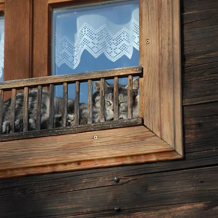 Holiday home Ferienhaeuser Paunger *