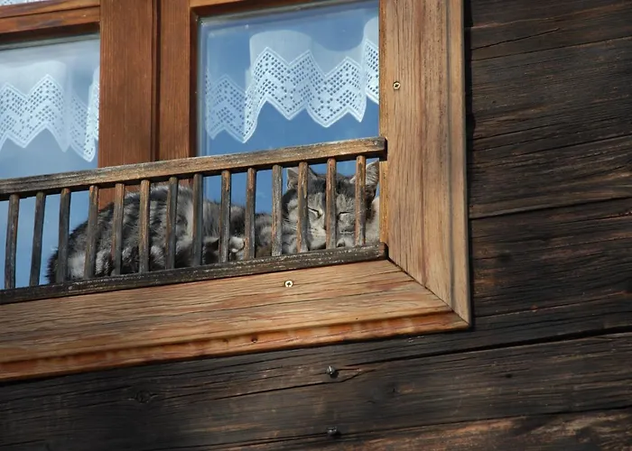 Сasa de vacaciones Ferienhaeuser Paunger *